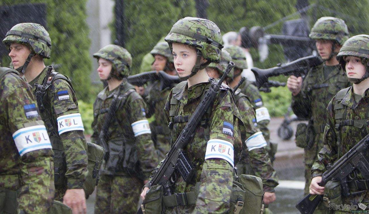 Среди эстонской молодежи вырос уровень готовности защищать страну