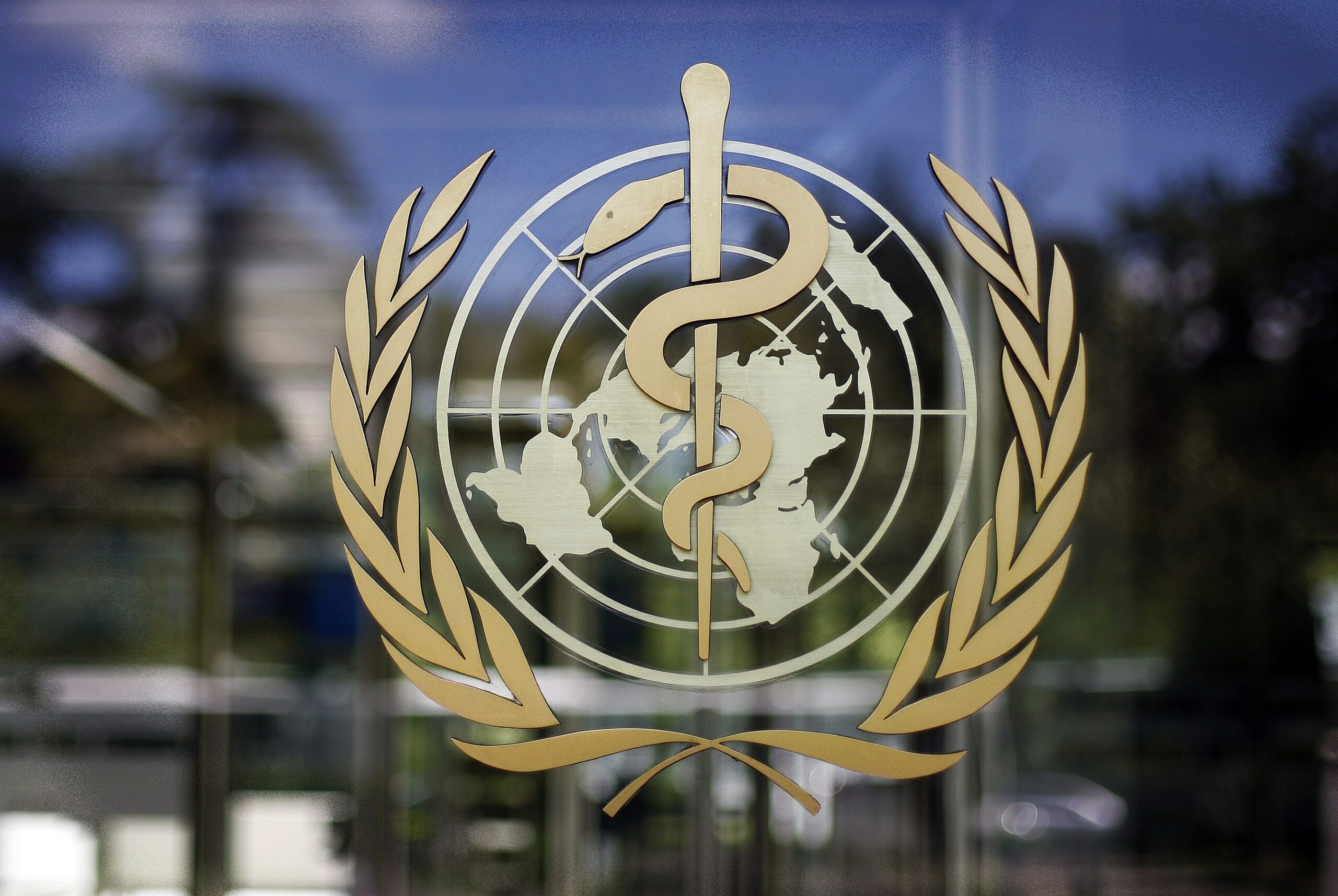 ВОЗ требует увеличить финансирование глобального проекта по борьбе с коронавирусом