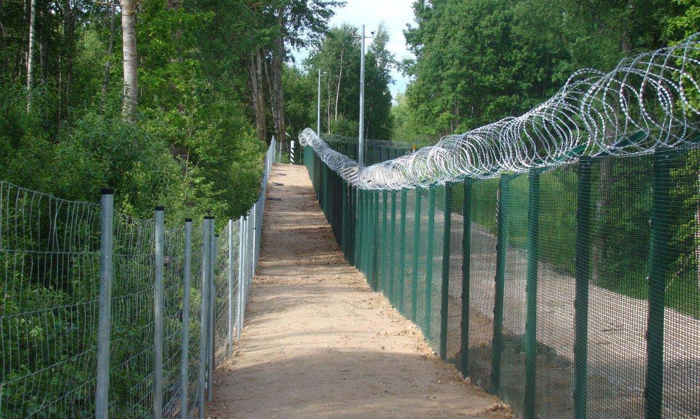 Советник Науседы призвал его ускорить строительства забора на границе с Беларусью