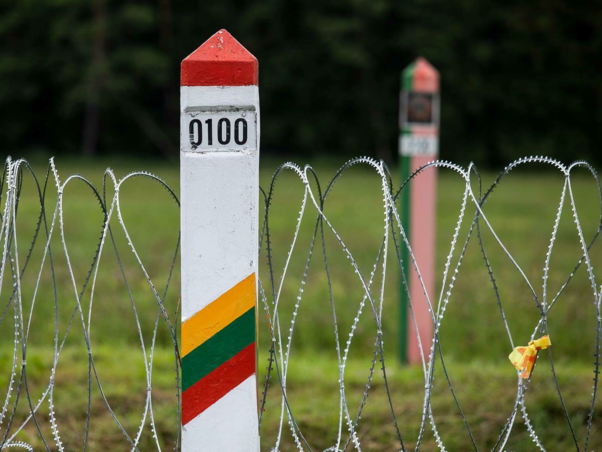 Литва намерена требовать финансирование возведения забора от ЕС