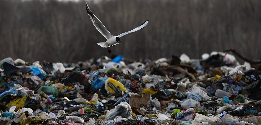 Не у себя же хранить. Литва погрязла в польских отходах