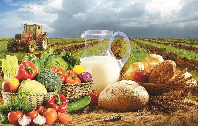 Экспорт белорусской сельхозпродукции превысит 6 млрд. долларов в 2021 году
