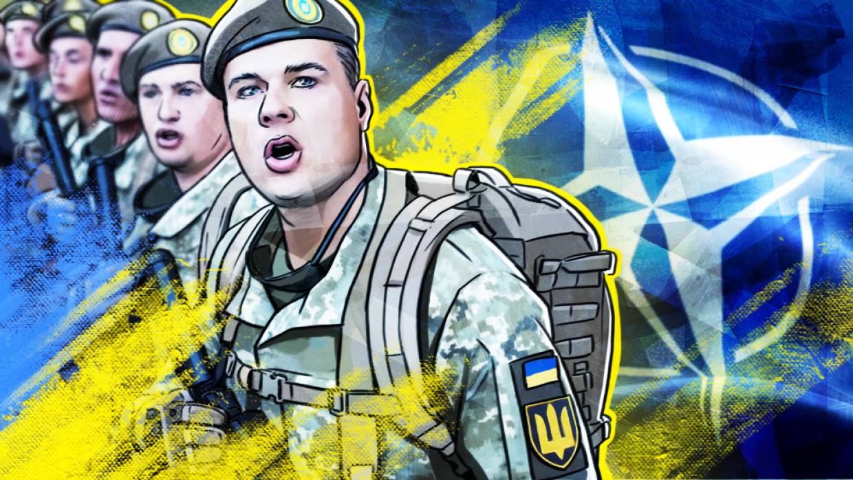 Оппозиция в Раде Украины пояснила, что страна пытается попасть в НАТО прикрываясь Донбассом