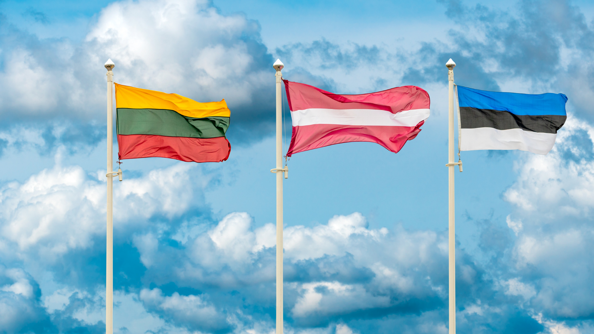 Прикроем с тыла. Эстония готова поддержать Литву в случае нападения Беларуси