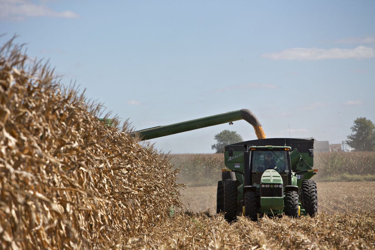 ООН призвала вернуть на мировые рынки удобрения из Беларуси и России