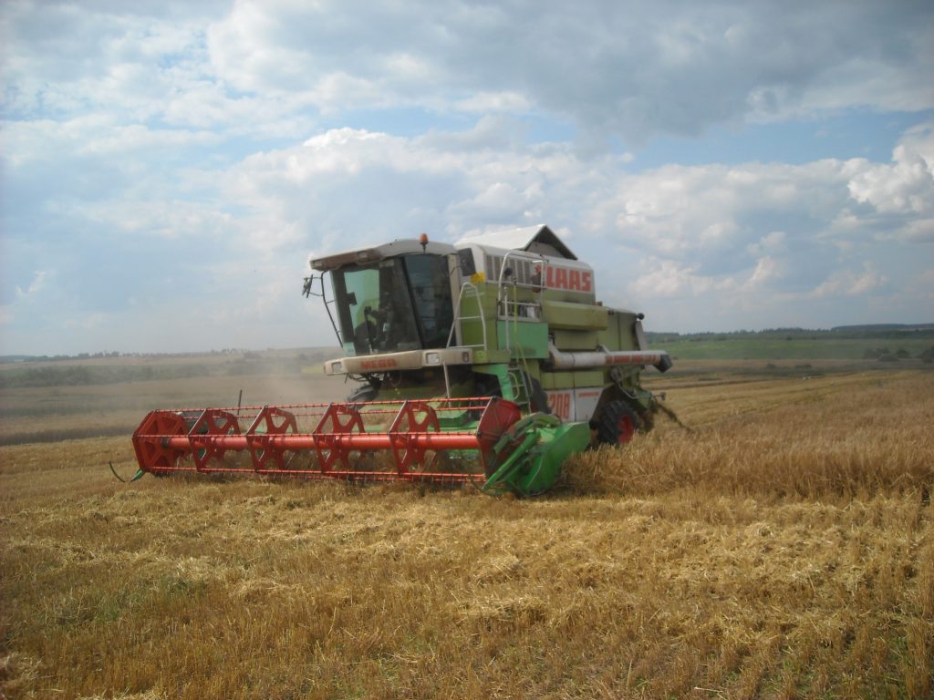 Белорусские аграрии готовят республику к экономическому рывку