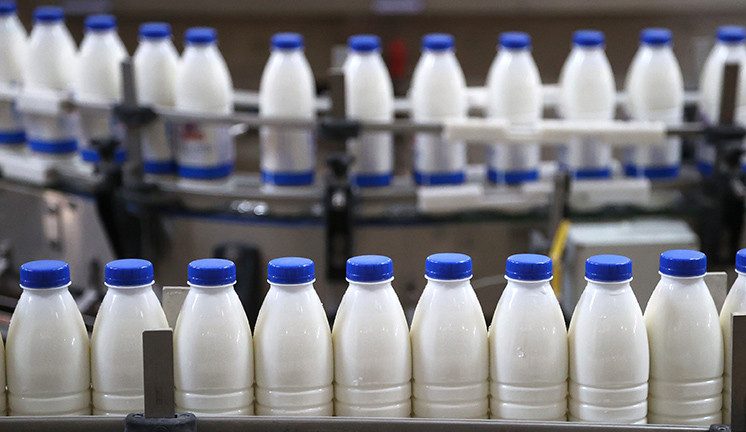 Президент Беларуси ответил губернатору, предложившему поднять цены на молоко