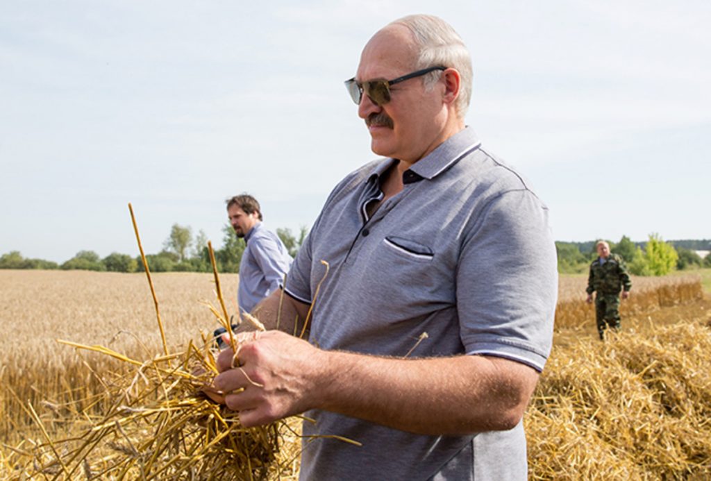 Лукашенко снова делает ставку на сельское хозяйство