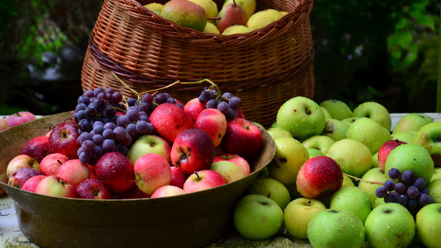 В Беларуси хотят выйти на производство 1 млн тонн плодовой продукции в год