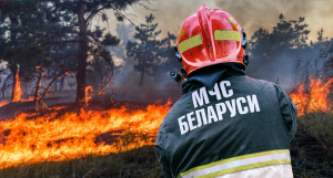 В стране за сутки потушили 15 лесных пожаров