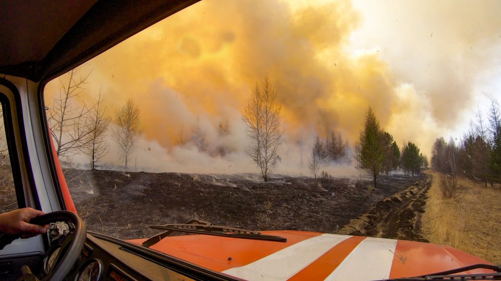 Огнеборцы Беларуси остановили возгорание 15 лесных участков