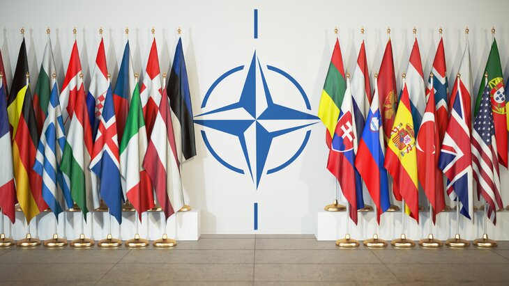 В Литве ждут «компрометирующих» кибератак перед саммитом НАТО