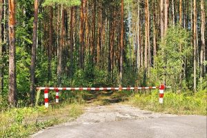 Запреты и ограничения на посещение лесов введены в 114 районах страны