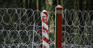Польские силовики применив слезоточивый газ, вытеснили в Беларусь 5 беженцев