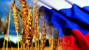 Республика Беларусь закупит у РФ до 500 тысяч тонн зерна в 2023 году