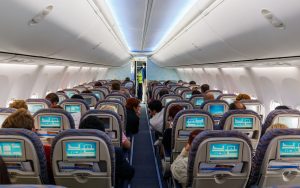 В Беларуси может появиться база самолетных дебоширов