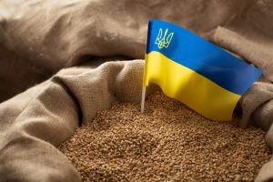 Польша, Венгрия и Словакия решили продлить запрет на украинское зерно вопреки решению ЕС