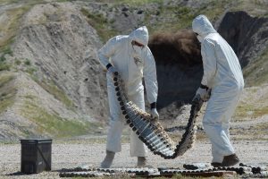 ООН обеспокоена передачей Киеву американских снарядов с обеднённым ураном