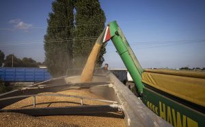 Польша направила Еврокомиссии ультиматум о запрете на ввоз украинского зерна