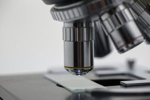 Беларусь утвердила соглашение с Россией о научно-техническом сотрудничестве