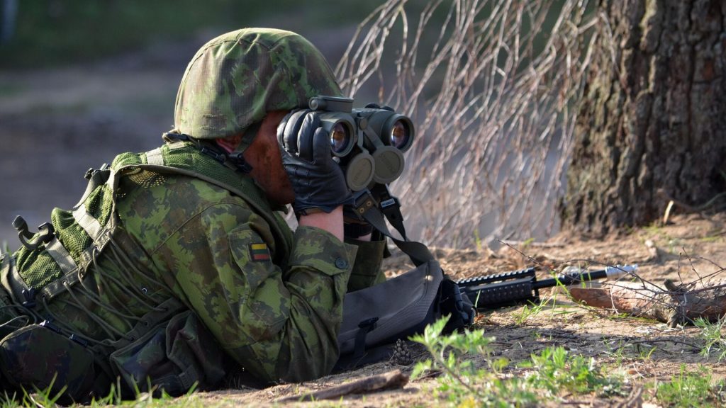 Литва готова направить военных в Украину для обучения