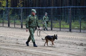 ГПК РБ сообщил о снижении плотности миграционных потоков на границе