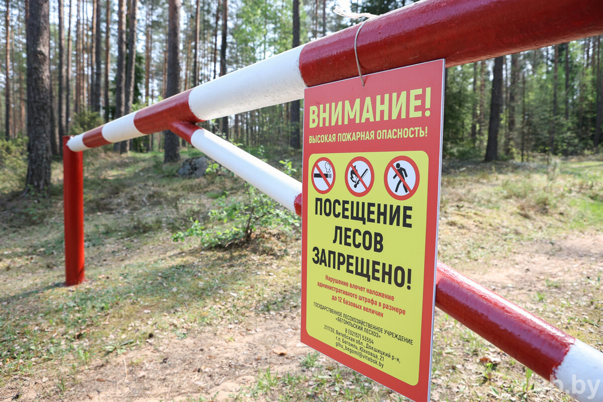 Ограничения на посещение лесов действуют практически во всех районах Беларуси