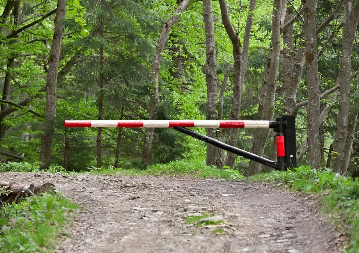 Ограничения на посещение лесов введены во всех областях Беларуси