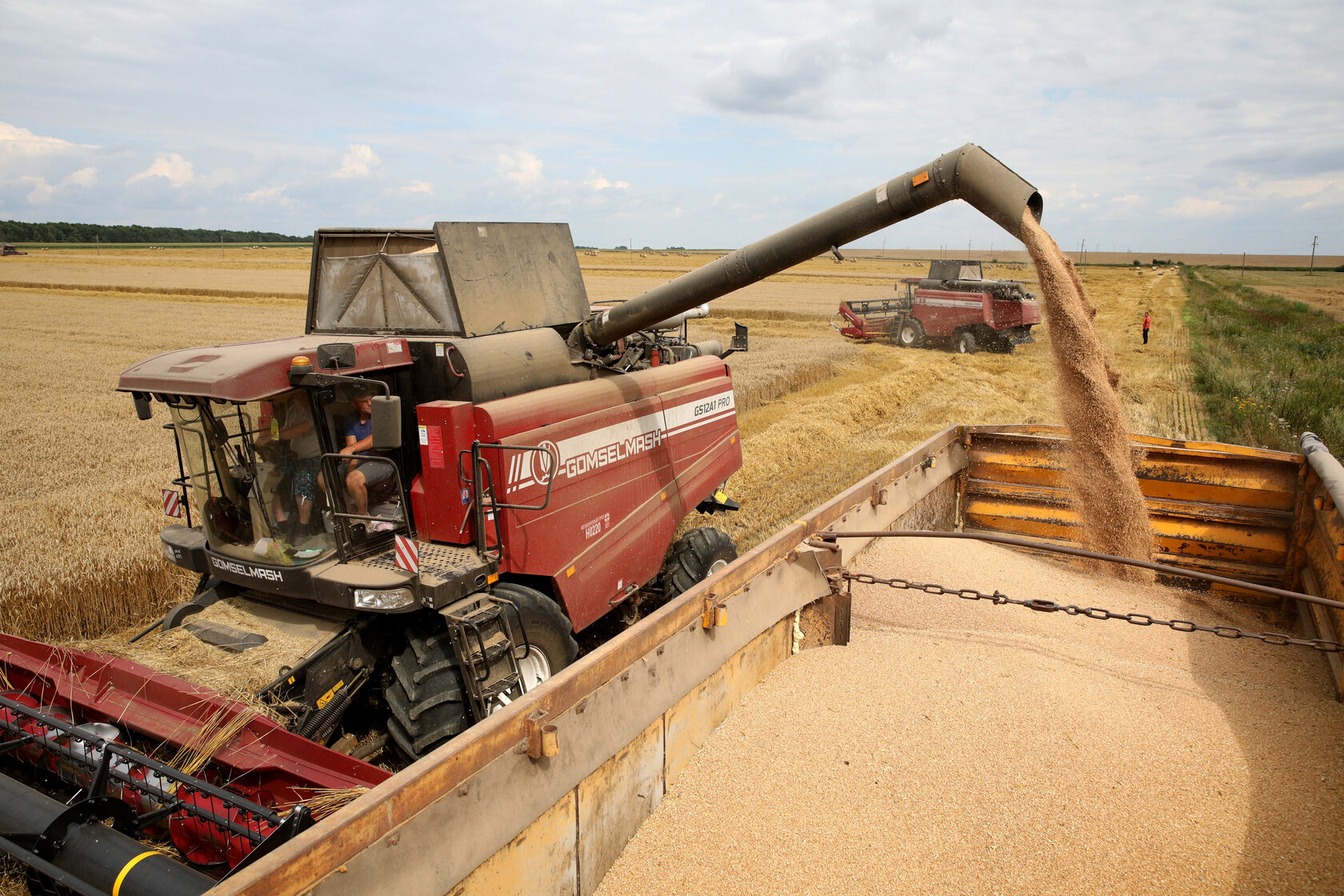 Уборочная-2025: в Беларуси намолочено более 10,8 миллионов тонн зерна