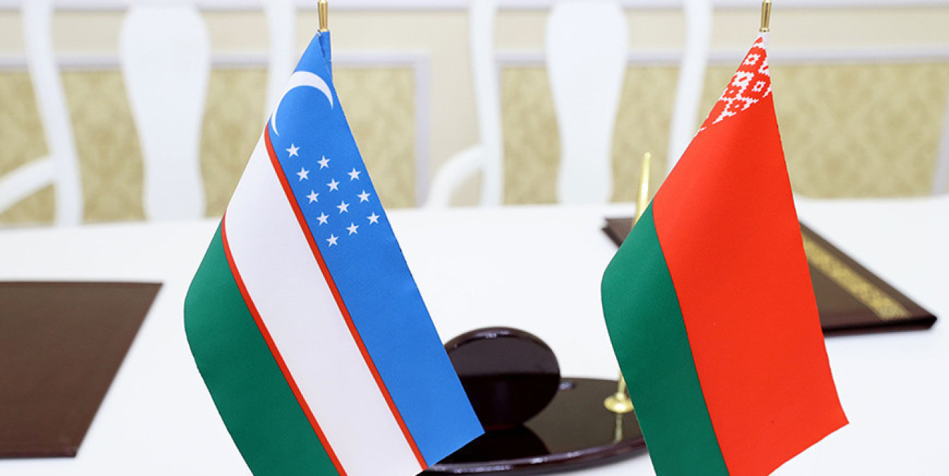 Атомный опыт Беларуси: как строительство АЭС становится драйвером регионального сотрудничества