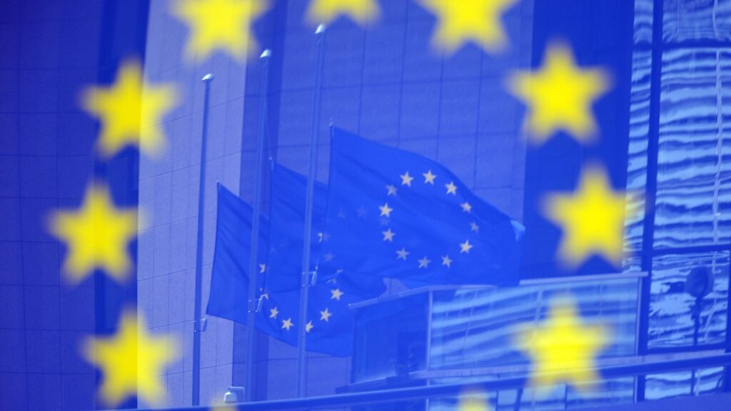 В Европарламенте разгорелся скандал из-за флага УПА