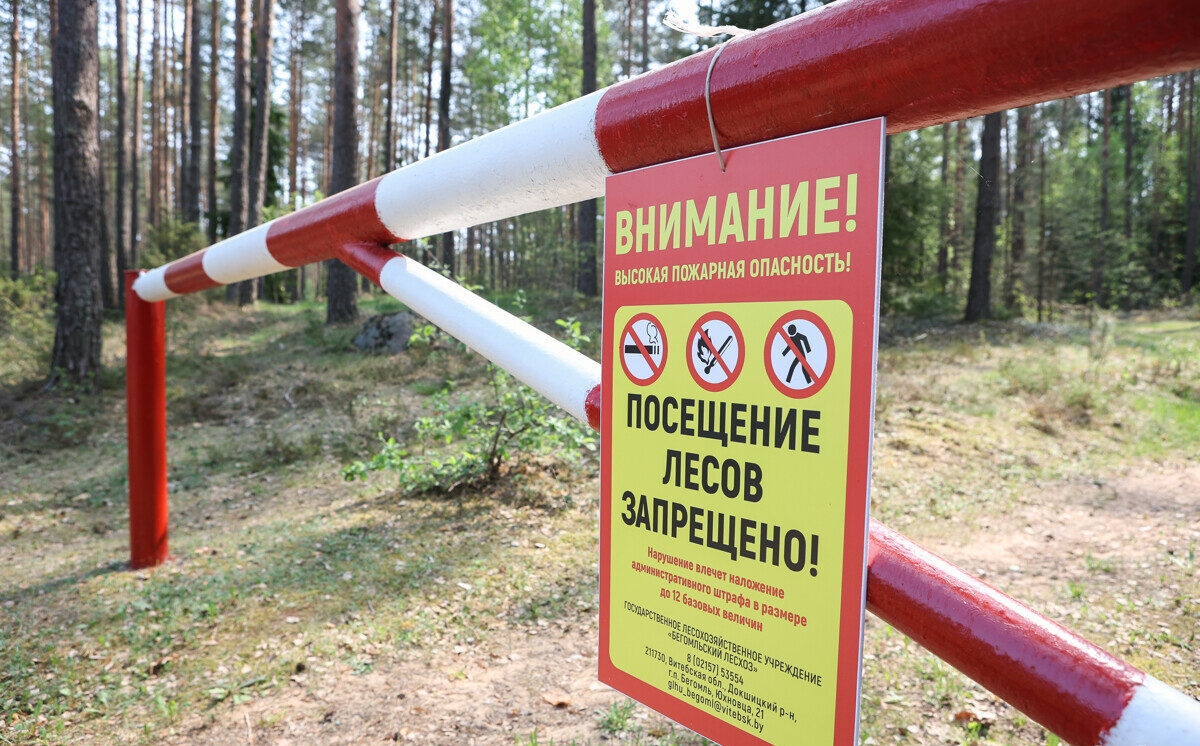 Ограничения на посещение лесов действуют во всех областях Беларуси