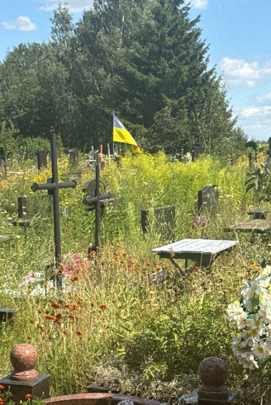 Церемонии для Запада и бурьян для своих. Кого на самом деле чтит киевский режим